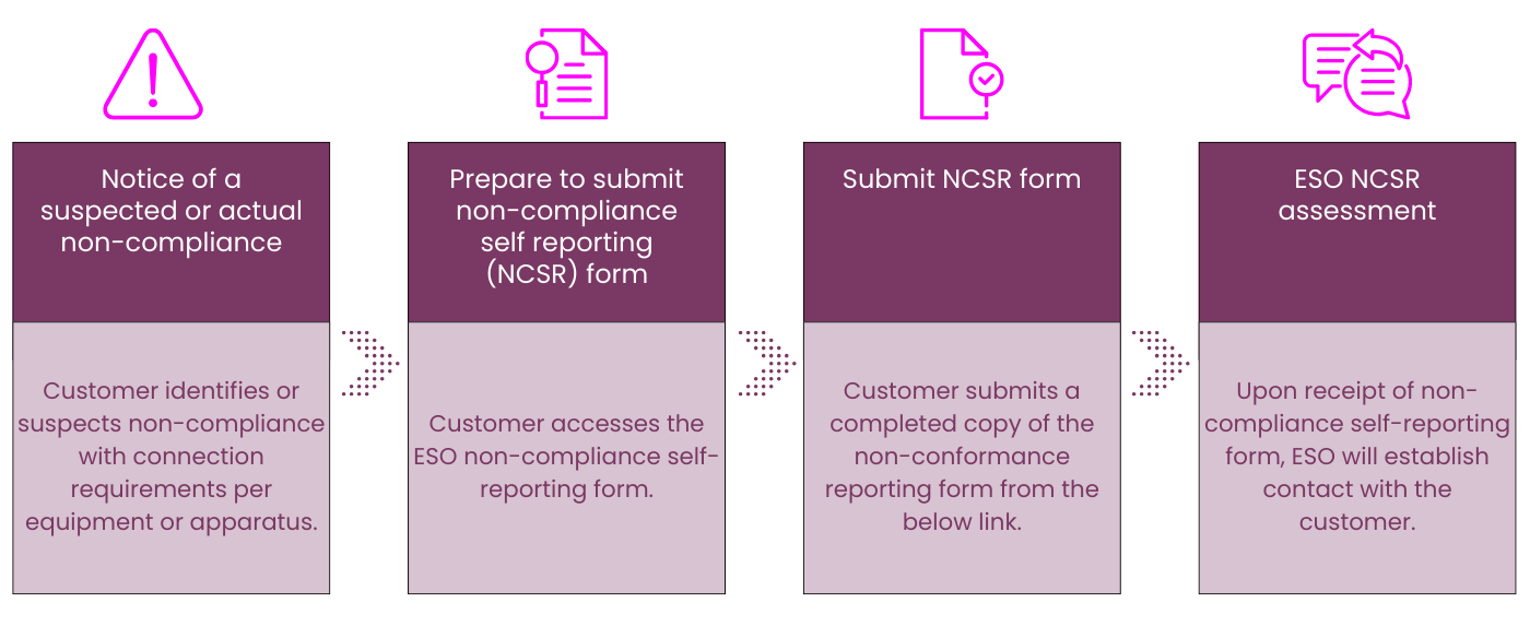 Non-Compliance Self Reporting Process