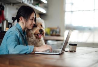 Lady sat at desk with laptop and dog on her lap