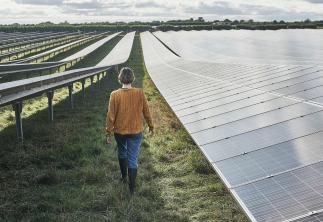 Man walking through solar panel field