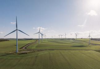 Wind turbines in field