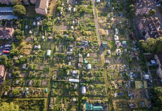 Allotments in an ariel view-GettyImages-1405420912