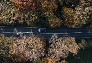 Ariel view of road surrounded by trees