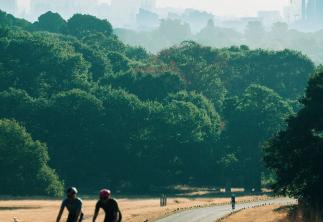 Cycle race on bendy road