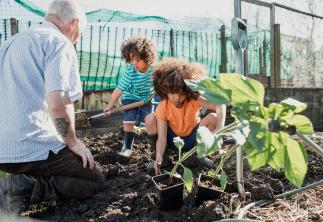 Grandparent and grandchildren planting vegetables