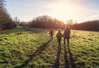 family walking through field in sunset