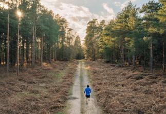 person jogging in wooded area