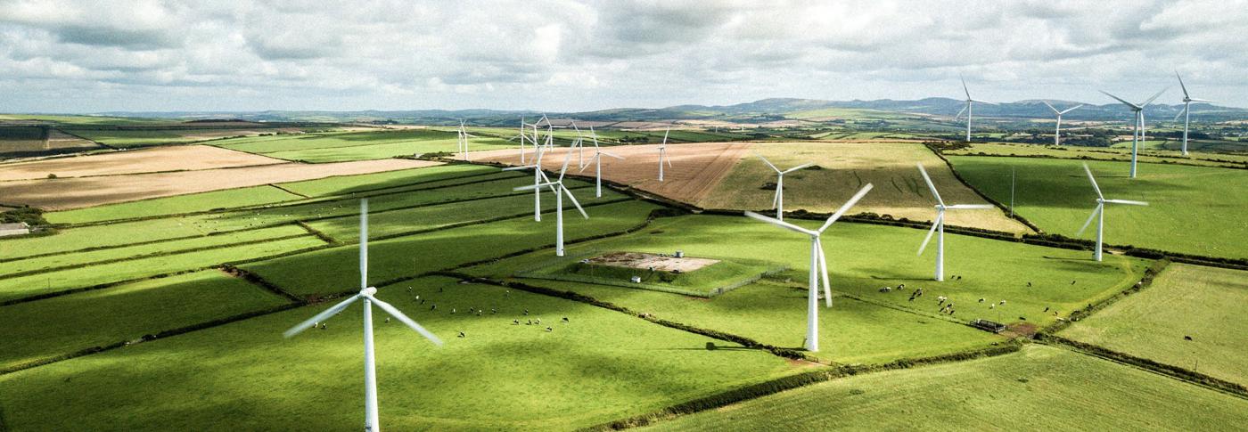 Wind Turbines In Field with sunshine