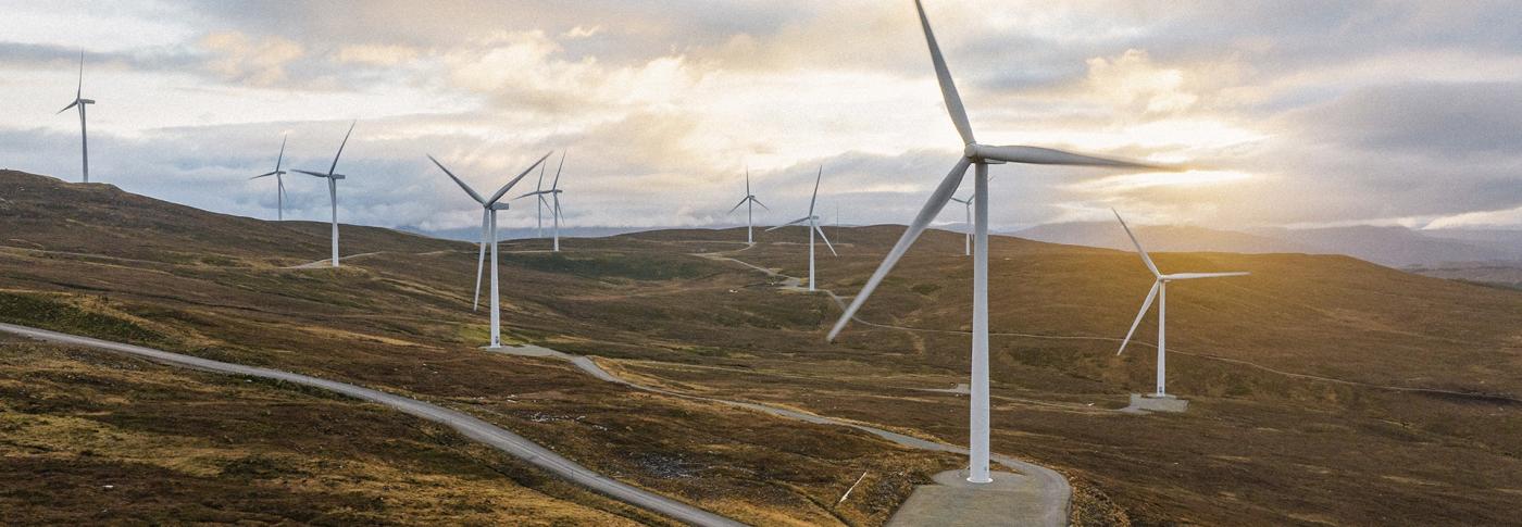 Wind turbines in field with sunset