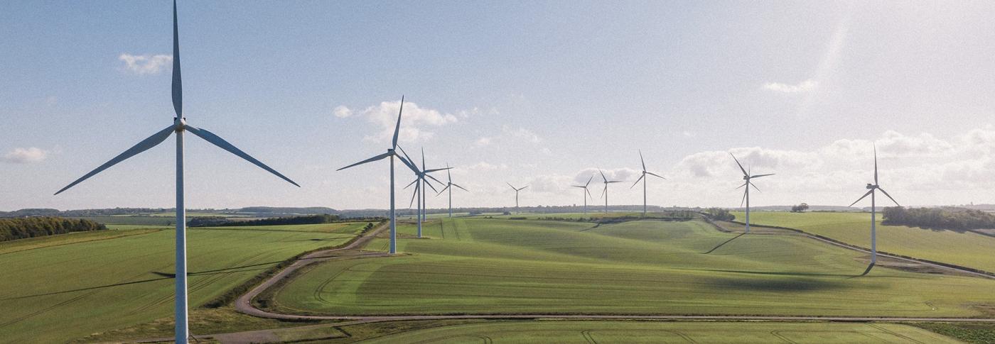 Wind turbines in field