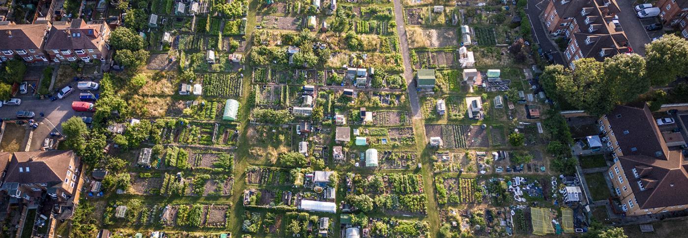 Allotments in an ariel view-GettyImages-1405420912