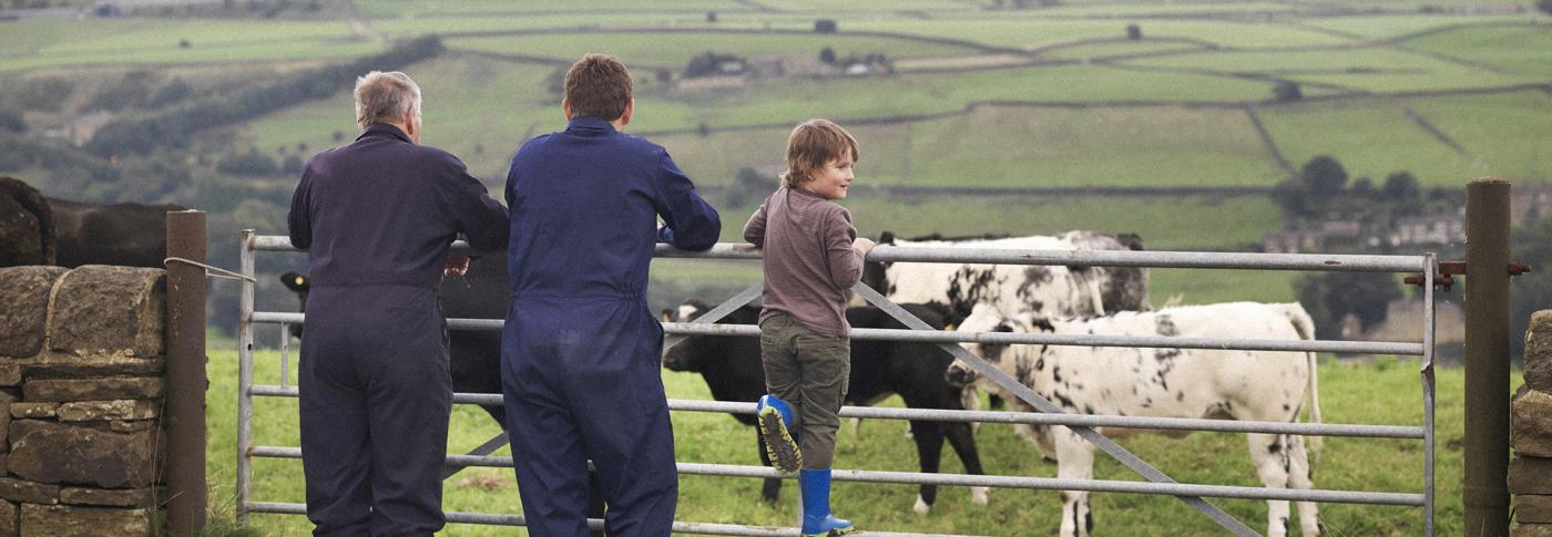 People stood in front of their field with their cows