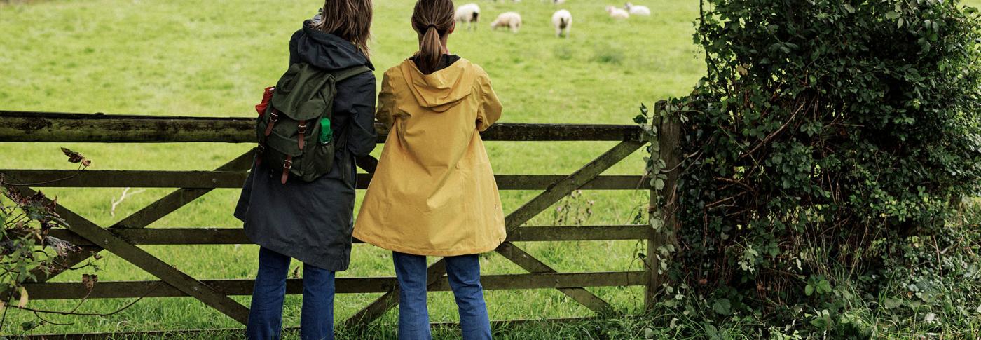 Two people looking over gate into field with sheep in