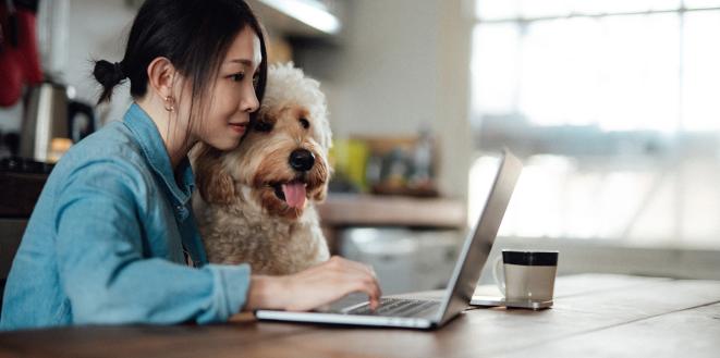 Lady sat at desk with laptop and dog on her lap