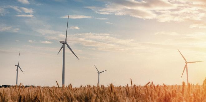 Wind turbines in sunset field