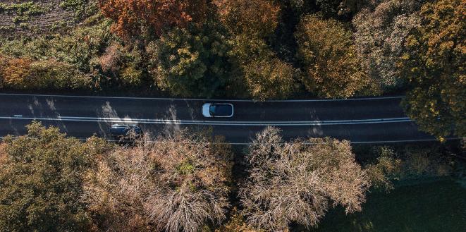 Ariel view of road surrounded by trees