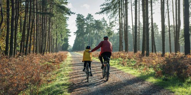 Two people crying on a country road with tall trees either side