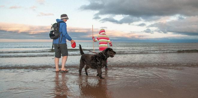 Two people in the sea with their dog