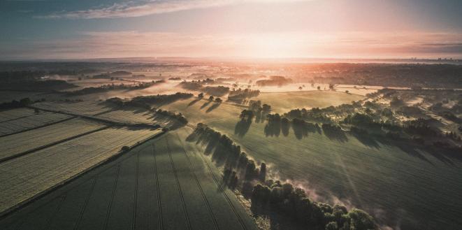 landscape of fields and sunset