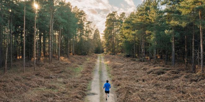 person jogging in wooded area