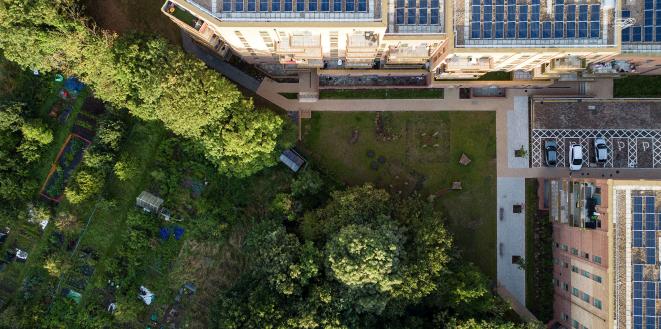 top of flats with solar panels and allotments