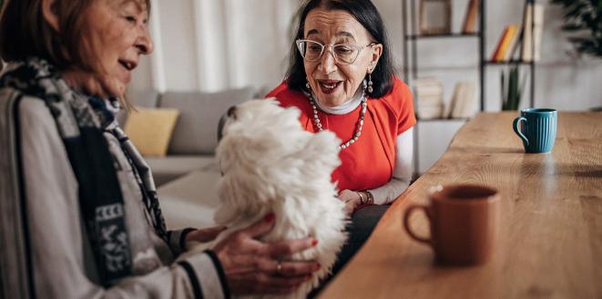 two ladies sat in kitchen with mugs of tea and dog sat on lap