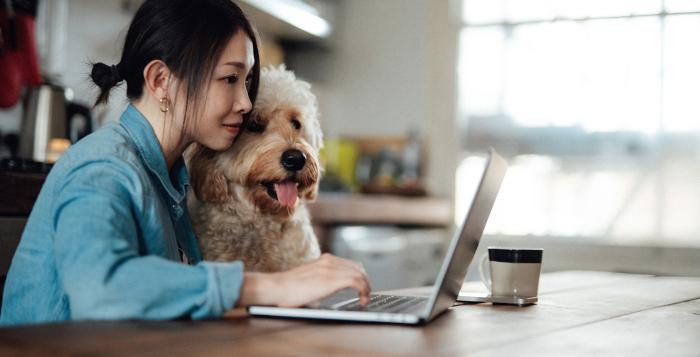 Lady sat at desk with laptop and dog on her lap