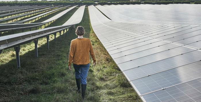 Man walking through solar panel field