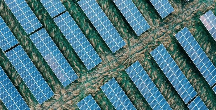 Solar panels in field