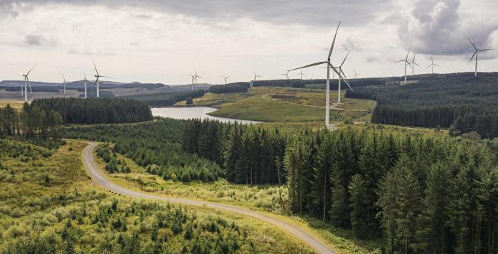 Wind Turbines across land with a country road and trees