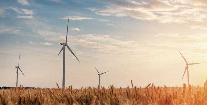 Wind turbines in sunset field