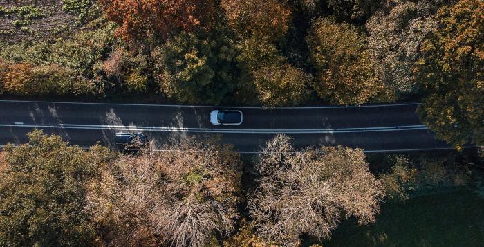 Ariel view of road surrounded by trees