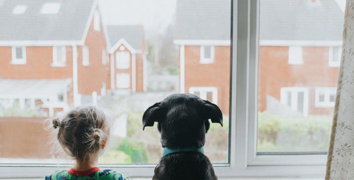 Child and dog looking out of house window