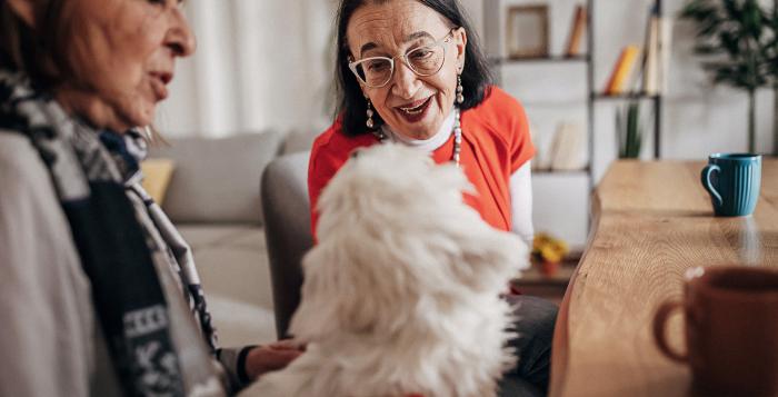 Family with a dog