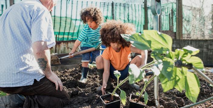 Grandparent and grandchildren planting vegetables