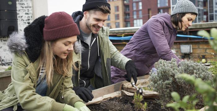 Group of people planting flowers in allotment