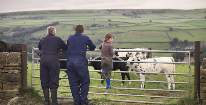 People stood in front of their field with their cows