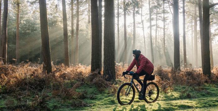 Someone cycling in wood with sun beaming through trees