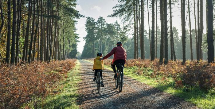 Two people crying on a country road with tall trees either side