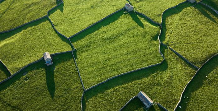 green walled fields