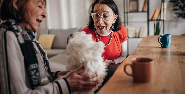 two ladies sat in kitchen with mugs of tea and dog sat on lap