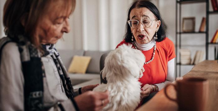 two people sat in kitchen petting a white dog